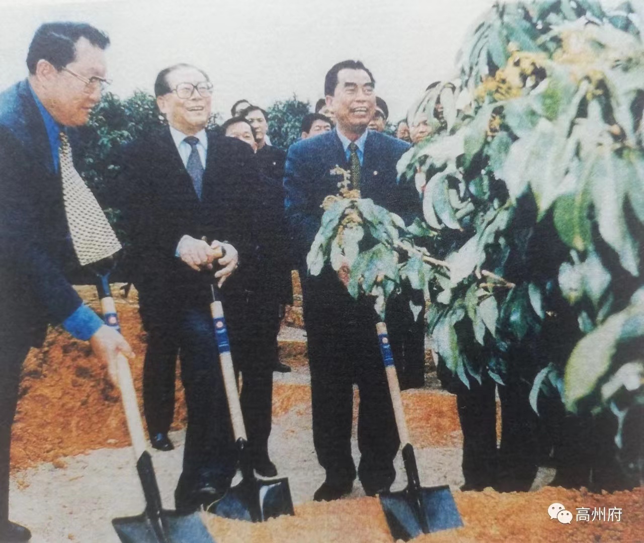 珩祥电保-中国荔枝博物馆MILAN.COM,米兰(中国)用电改造